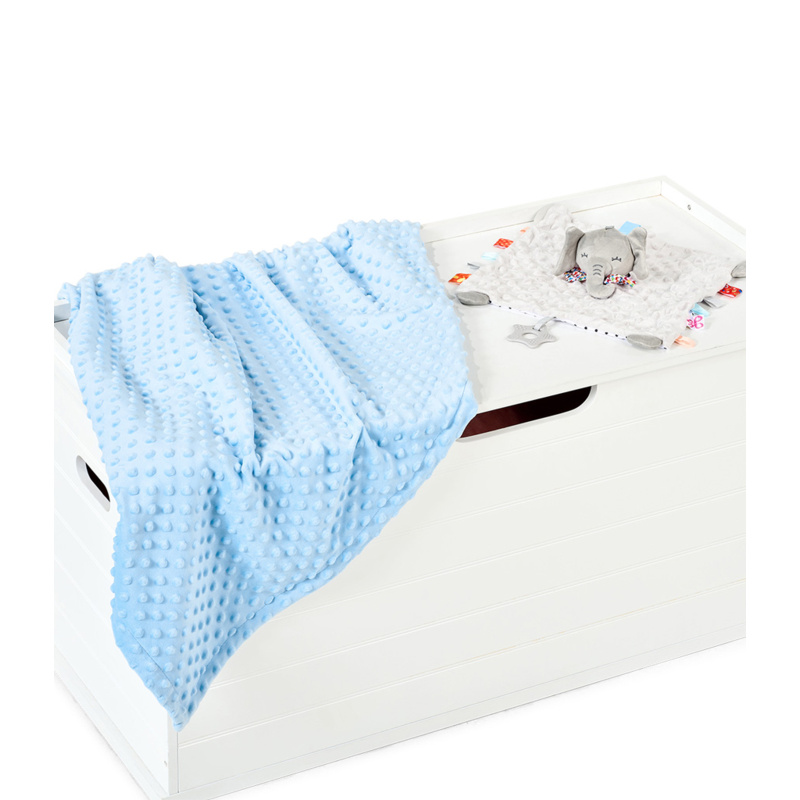 Brand Lab Minky Fleece Blanket Thumbnail