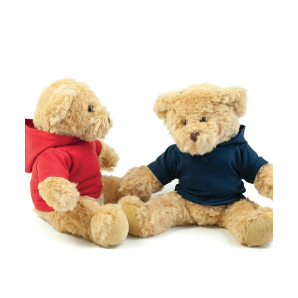 Teddy hoodie Thumbnail