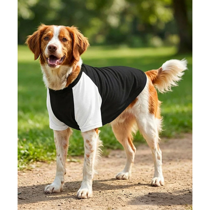 Dog’s raglan t-shirt Thumbnail