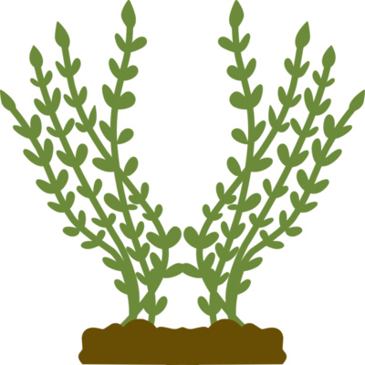 Plants 4 Thumbnail