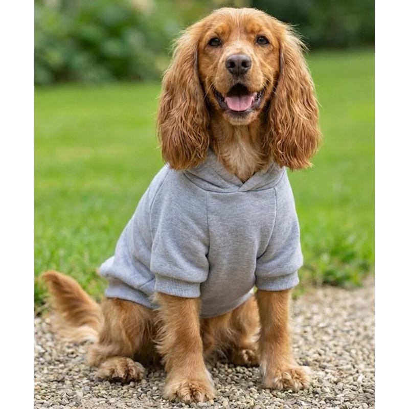 Dog’s hoodie Thumbnail